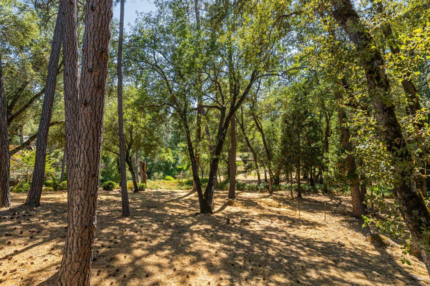Penn Valley, CA 95946,19007 Chickadee CT