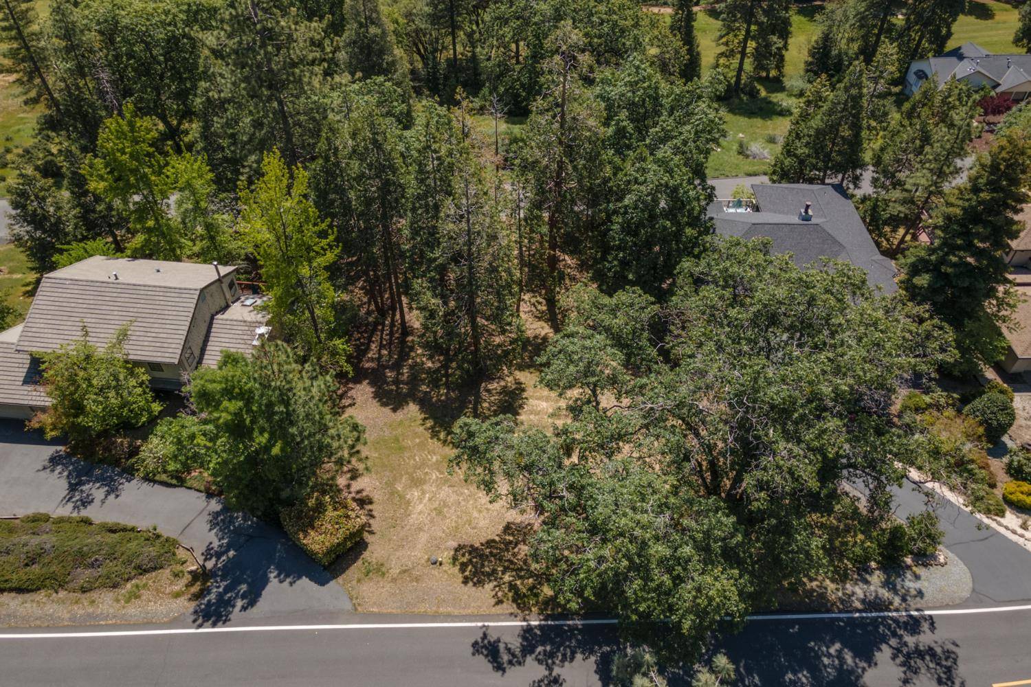 Murphys, CA 95247,533 Forest Meadows DR