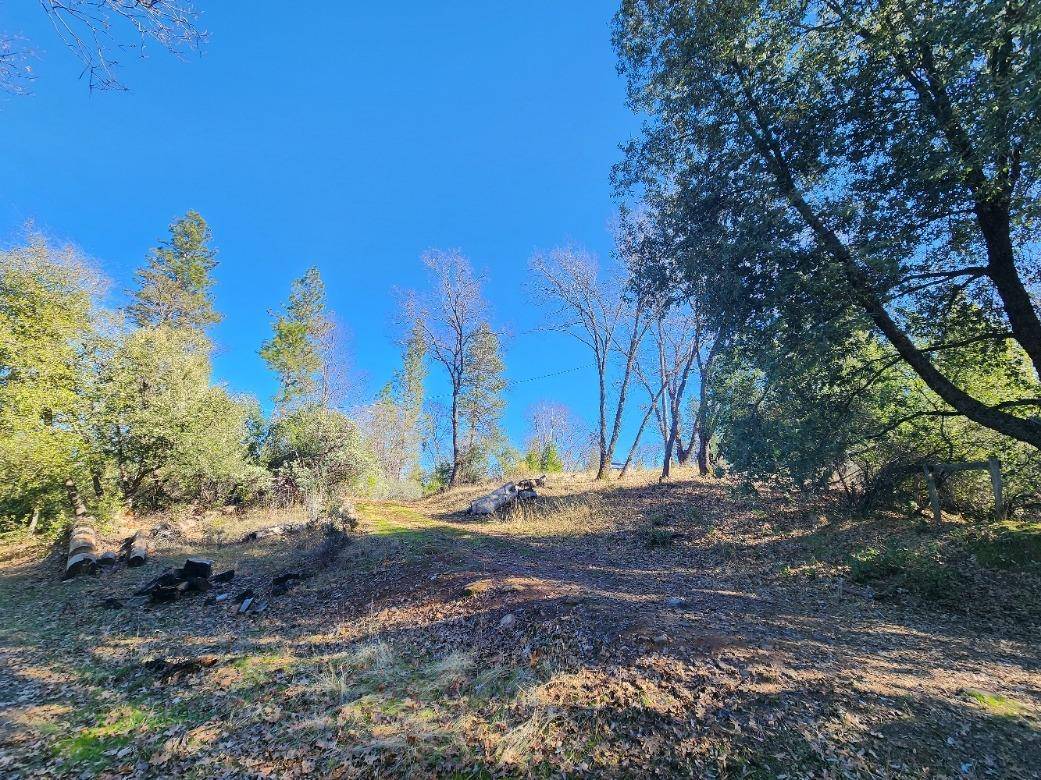 West Point, CA 95255,19760 Highway 26