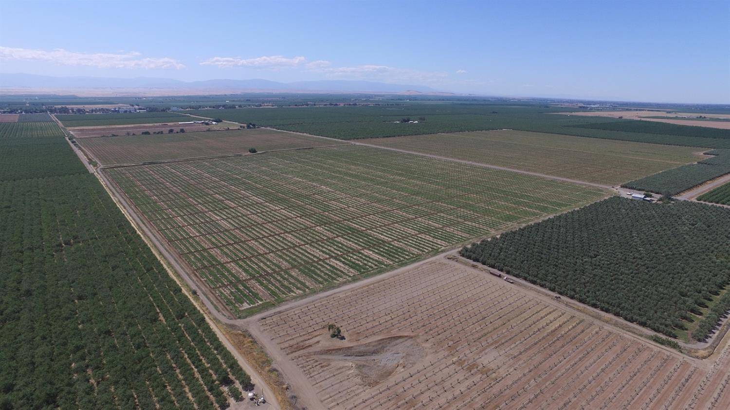 Orland, CA 95963,6783 County Road 33