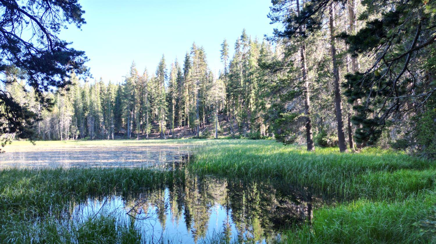 Soda Springs, CA 95728,0 forest 41 RD