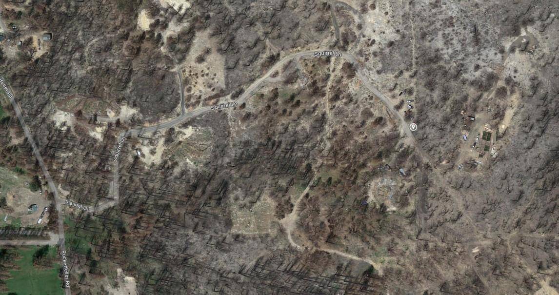 Berry Creek, CA 95916,15 Squirrel