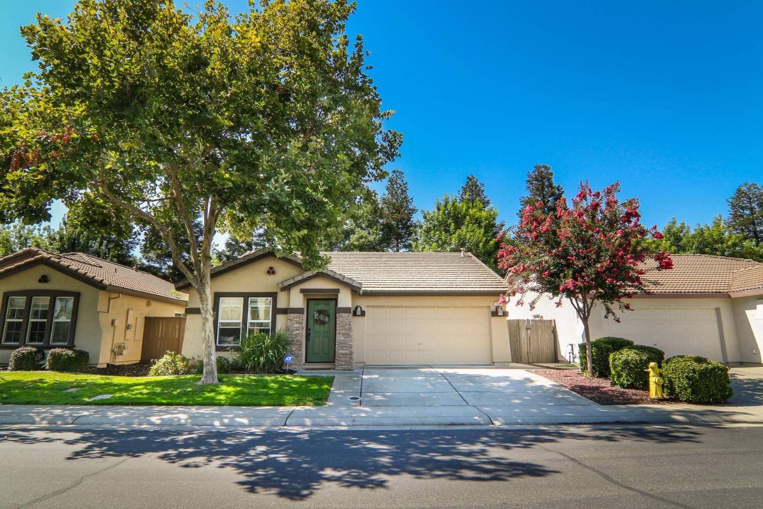 Roseville, CA 95747,1521 Blue Squirrel ST