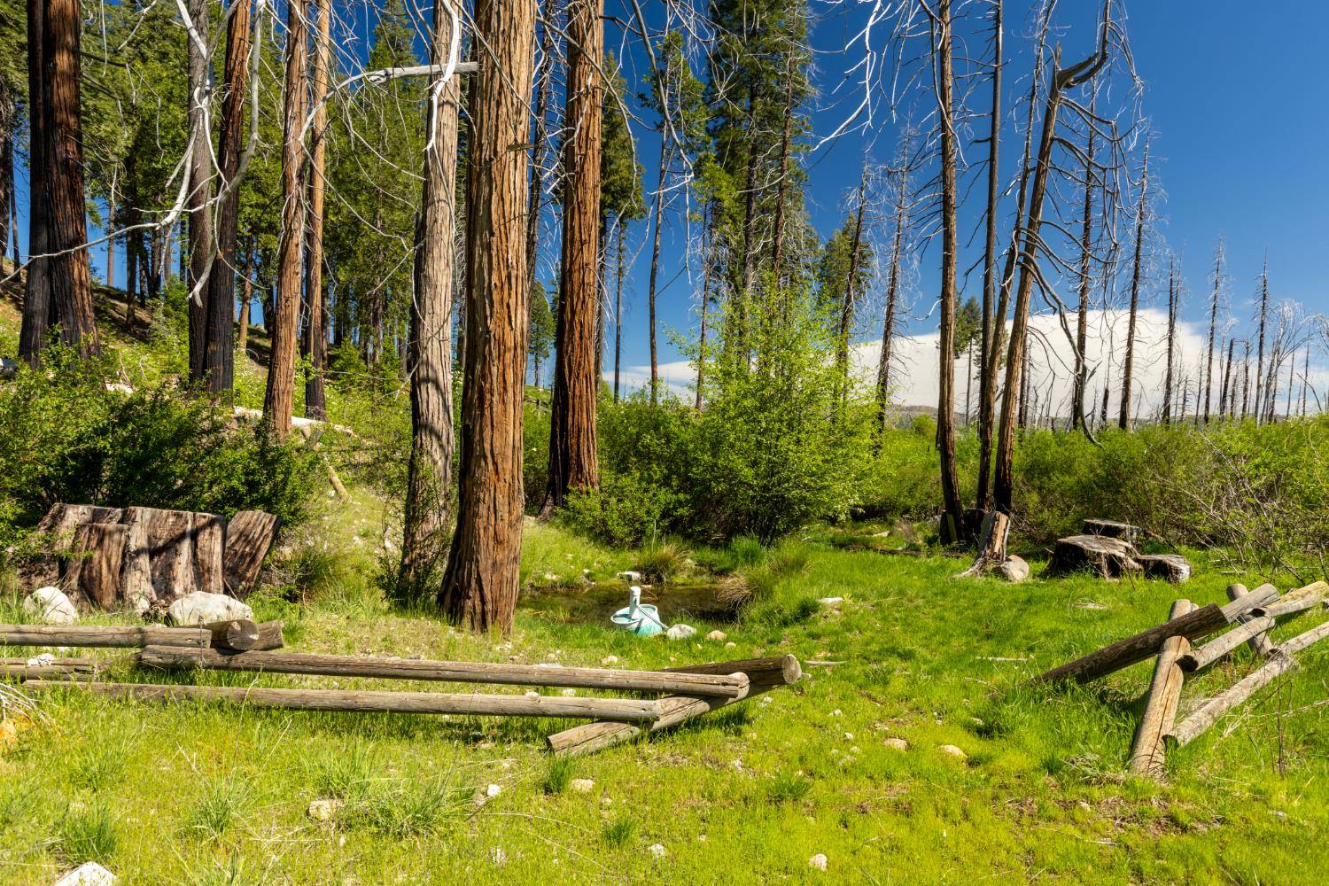 Georgetown, CA 95634,Acres Wentworth Springs RD