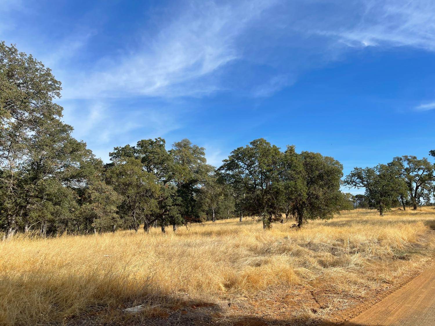 La Grange, CA 95329,10090 Arbolada DR