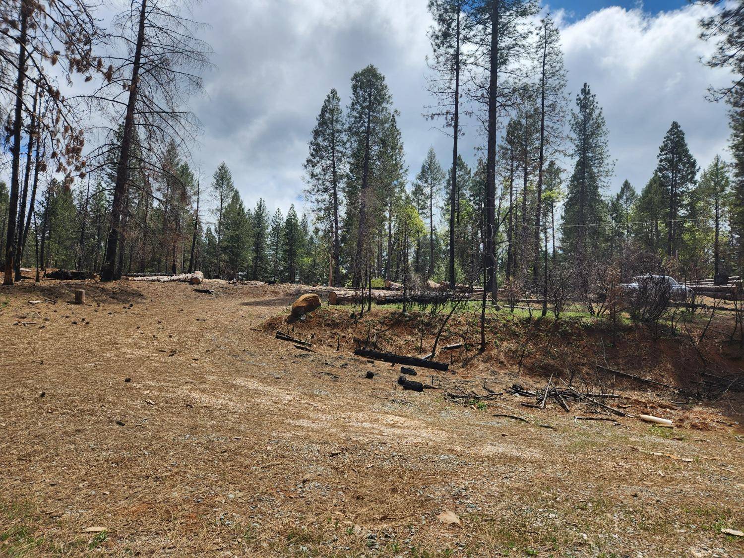 Georgetown, CA 95634,4071 Volcanoville RD