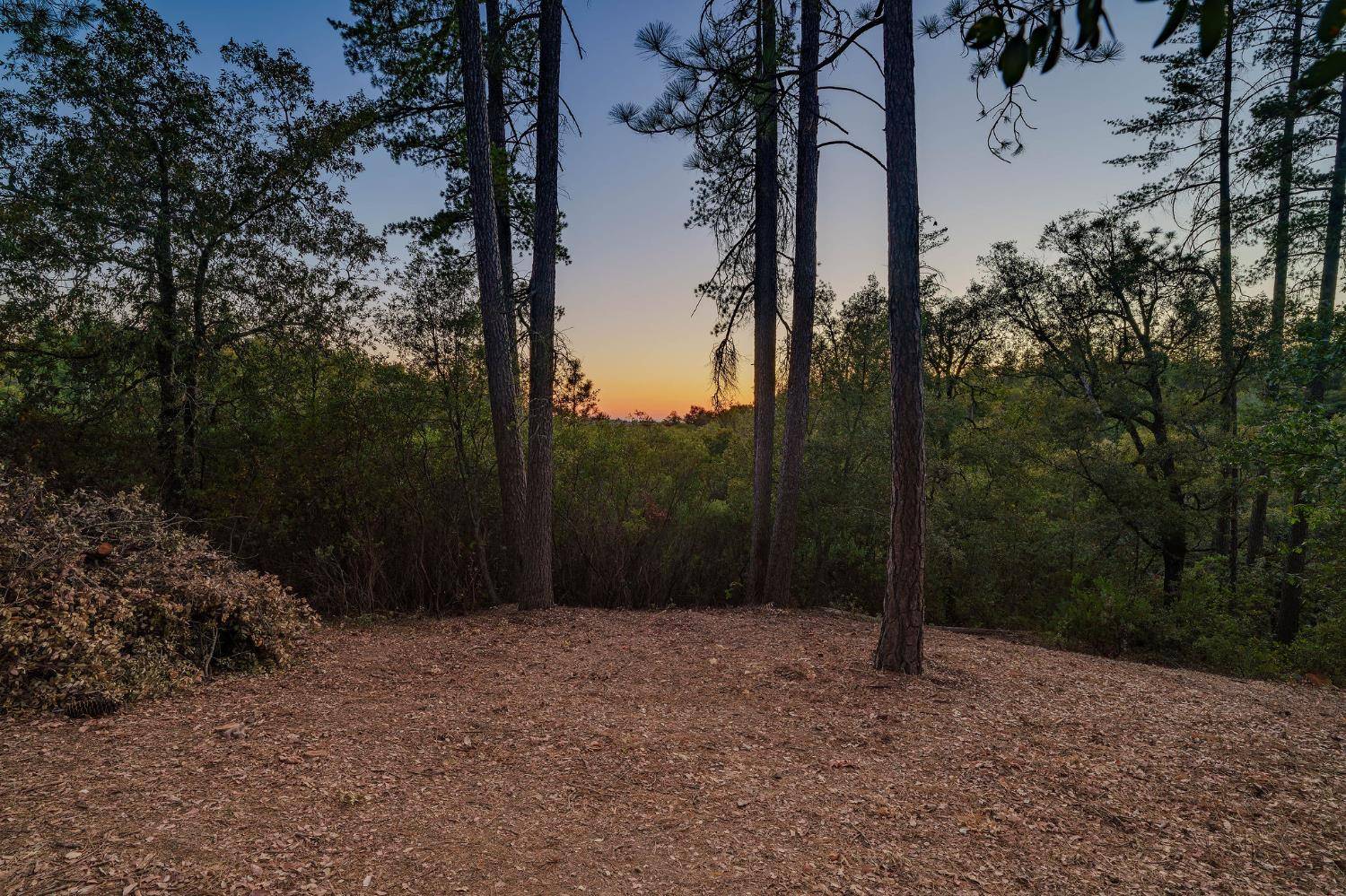 Sutter Creek, CA 95685,0 Manzanita RD