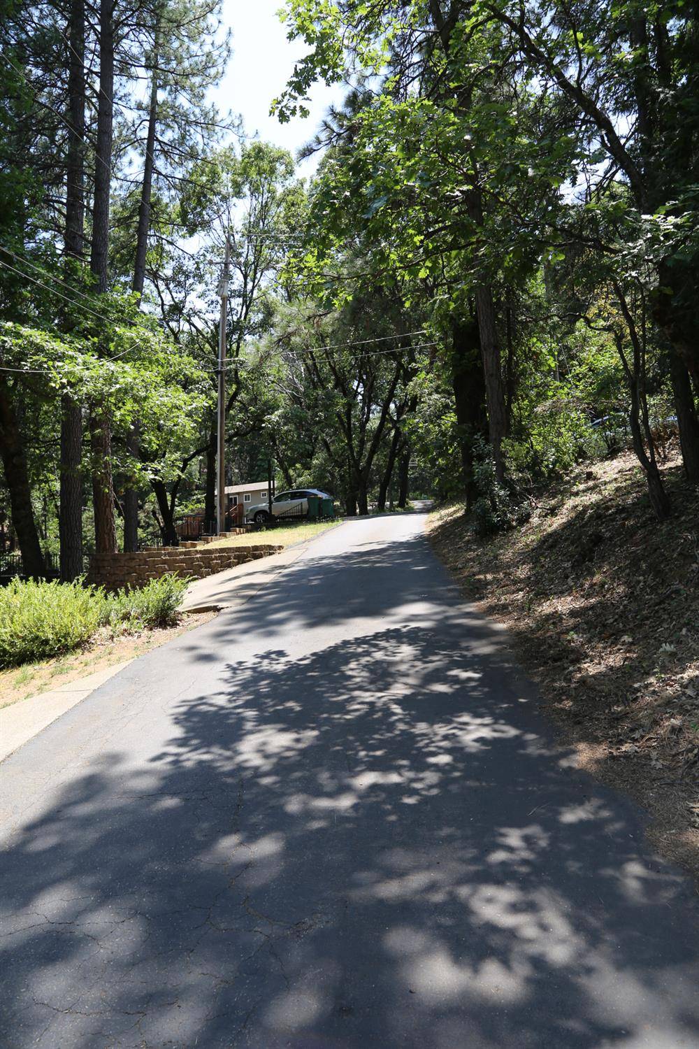 Camino, CA 95709,0 Gardella LN