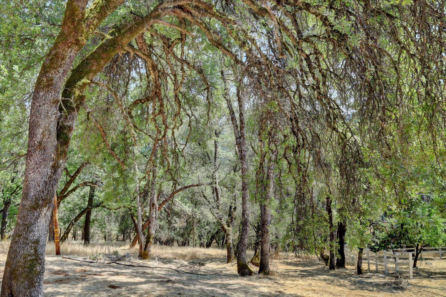 Grass Valley, CA 95949,19555 Black Oak LN