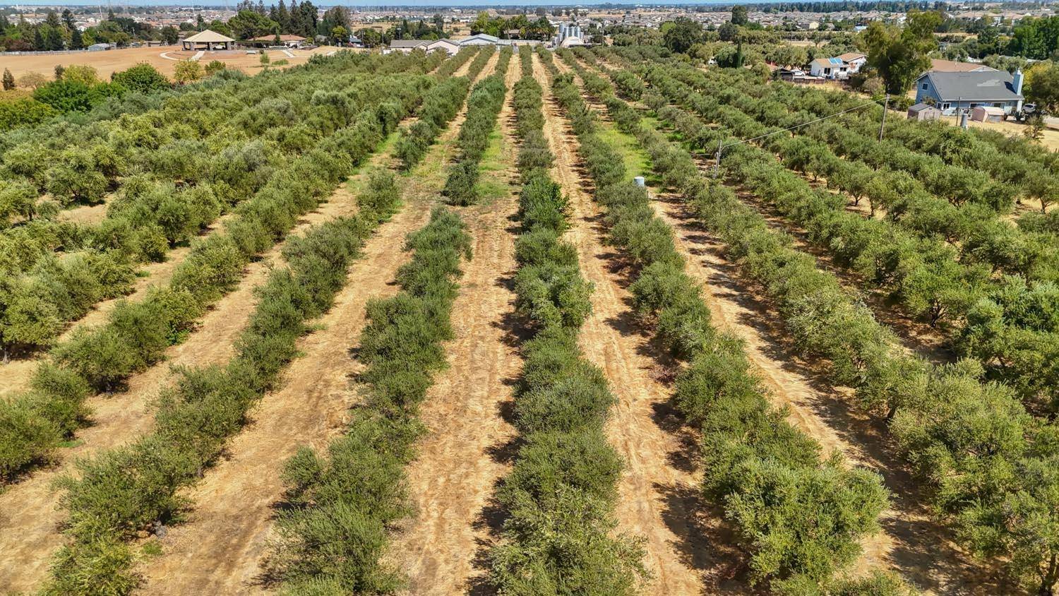 Sacramento, CA 95829,0 Bar Du LN