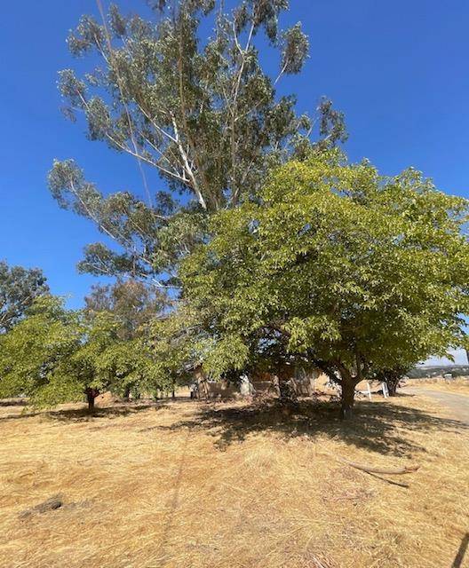 Valley Springs, CA 95252,9799 Scenic Valley RD