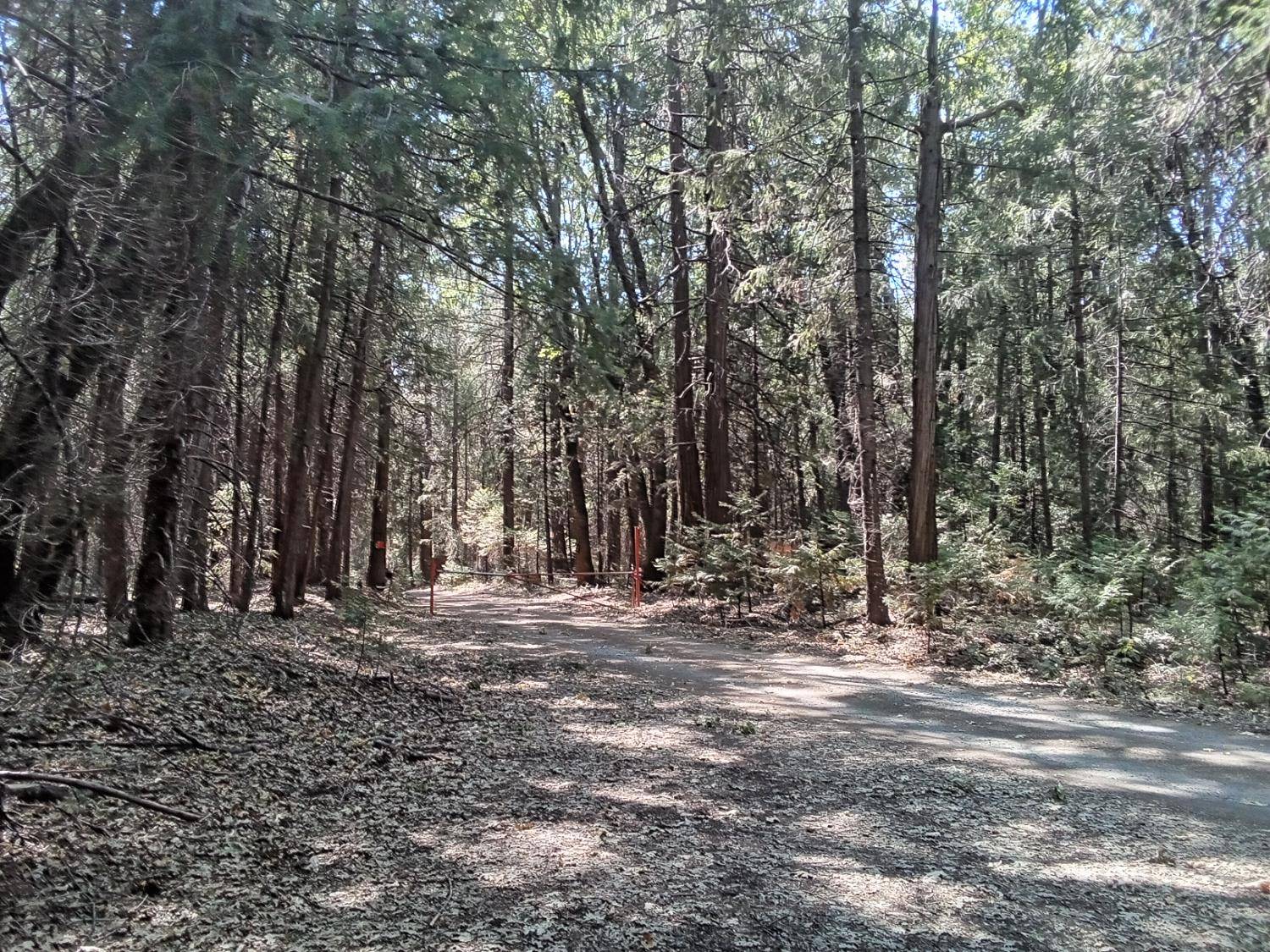 Iowa Hill, CA 95713,0 1 just road