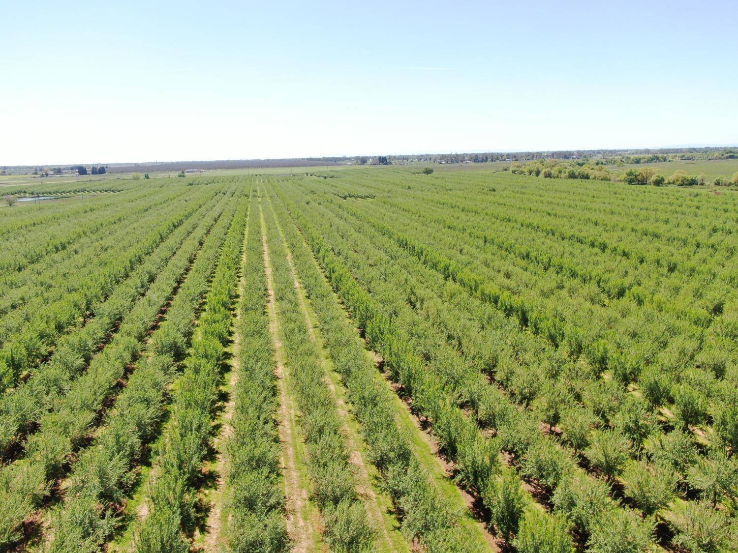 Herald, CA 95638,0 Twin Cities RD