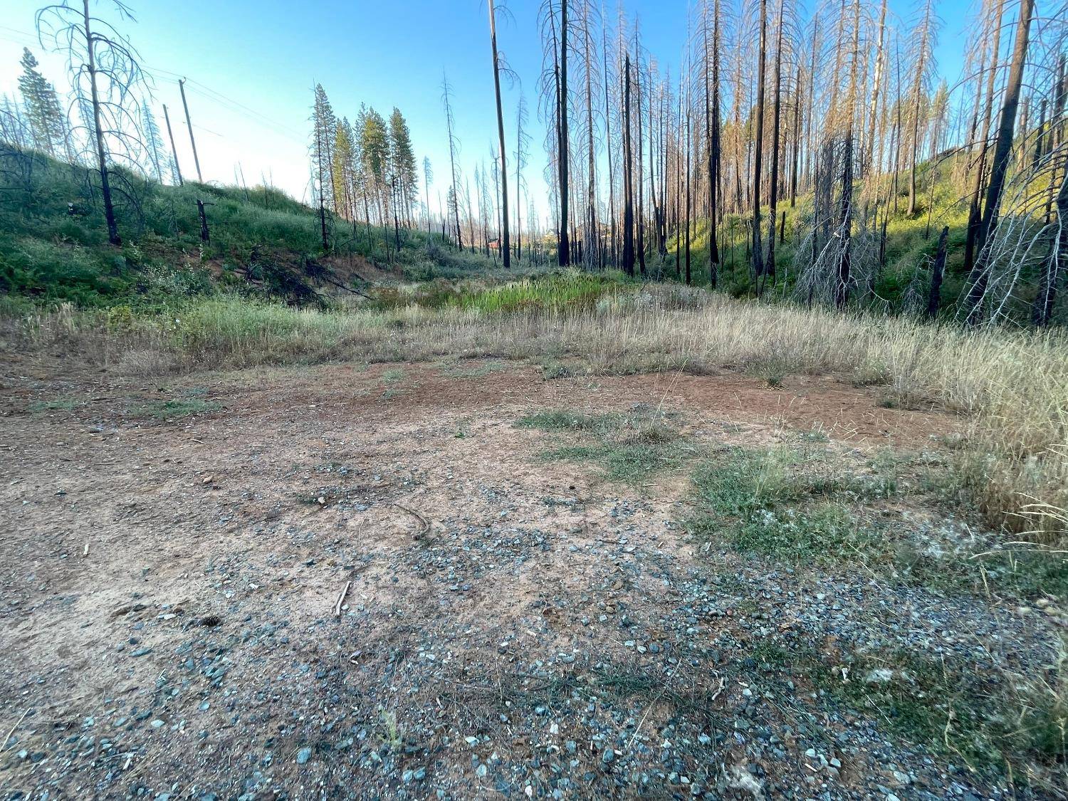 Grizzly Flats, CA 95636,5095 Evergreen DR