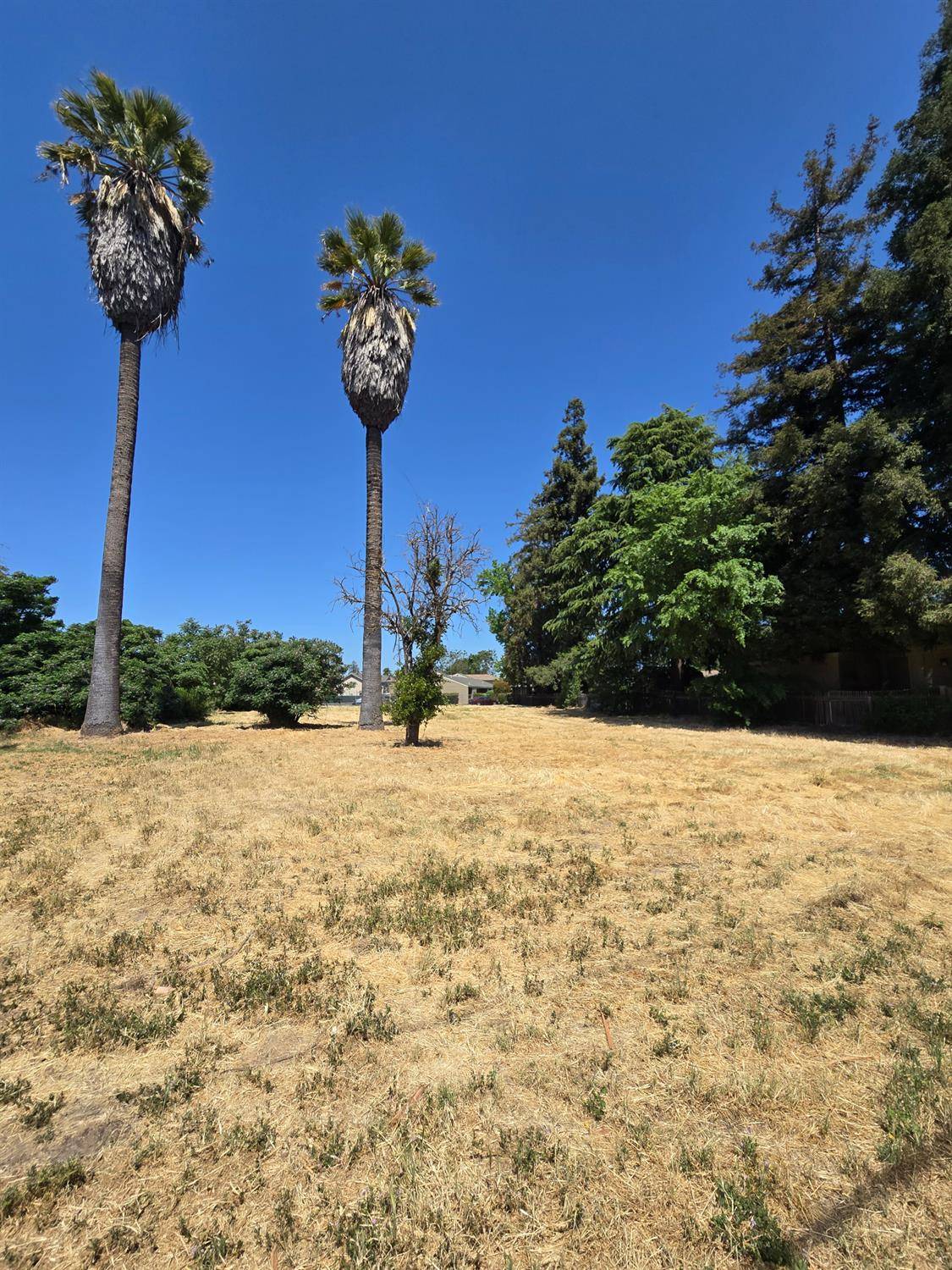 Turlock, CA 95380,951 E Main ST