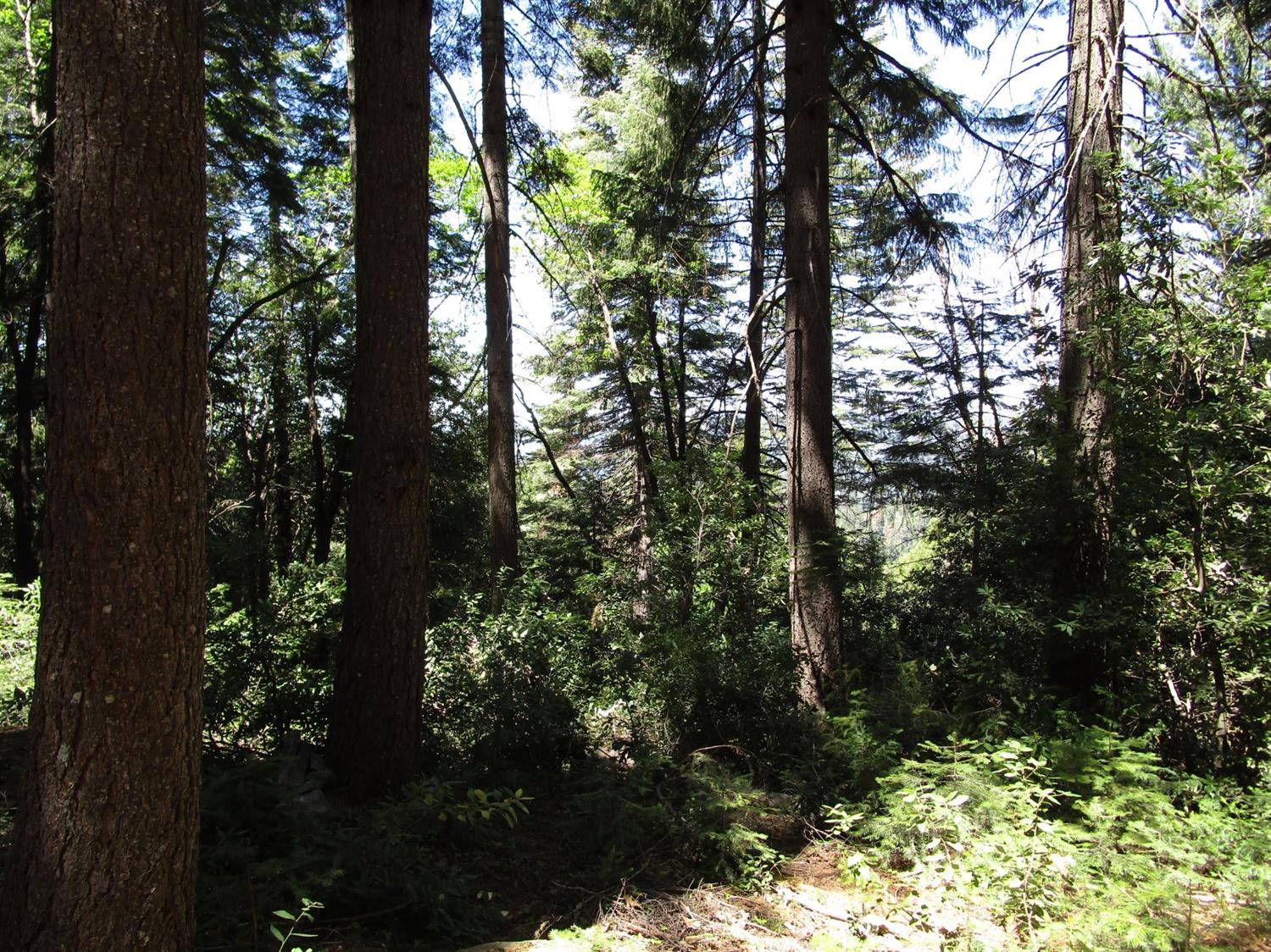 Nevada City, CA 95959,18707 Kaiser CT