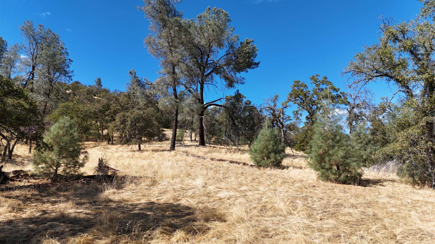Browns Valley, CA 95918,9816 Deer Hollow TRL