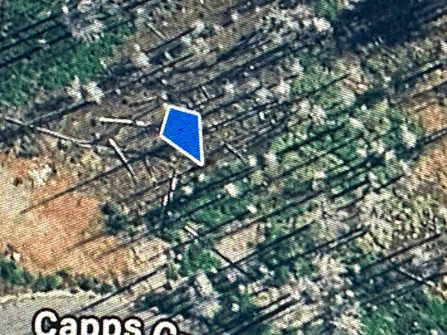 Grizzly Flats, CA 95636,7148 Capps Crossing RD