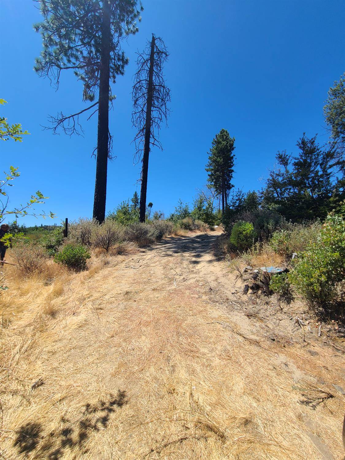 Concow, CA 95965,0 HOG RANCH ROAD