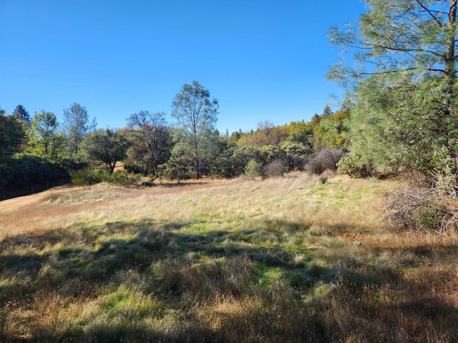 Dobbins, CA 95935,14444 Labadie WAY