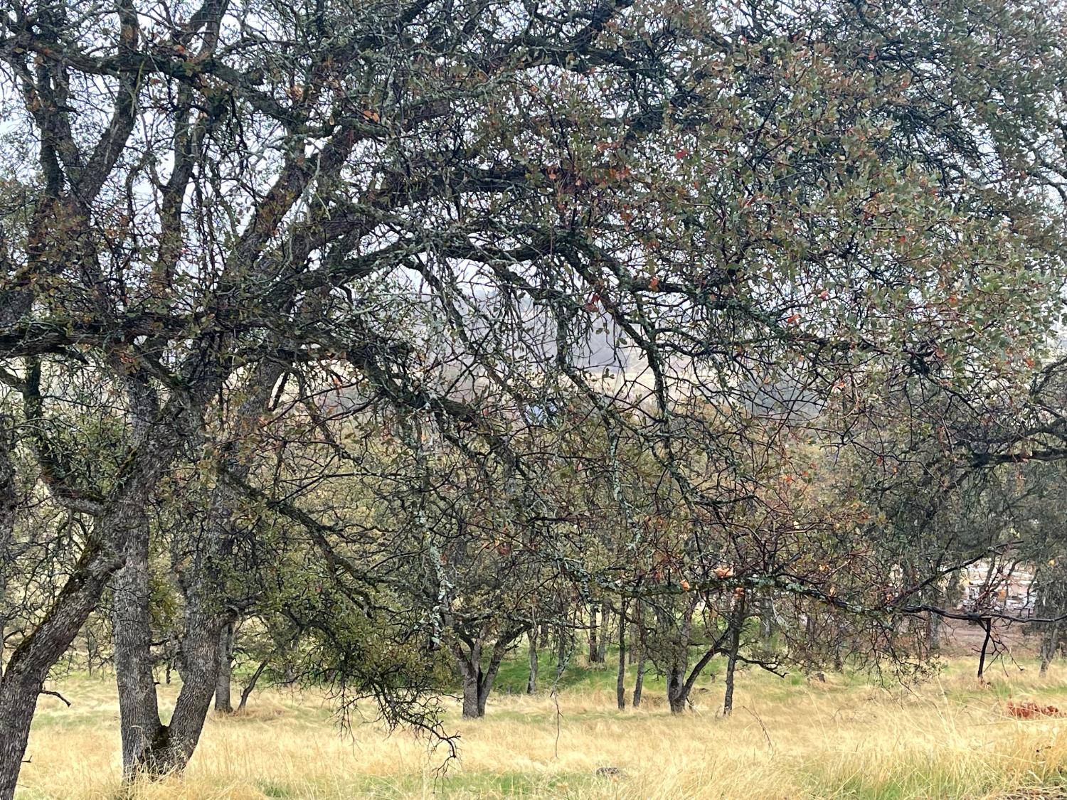 La Grange, CA 95329,9520 Mercado