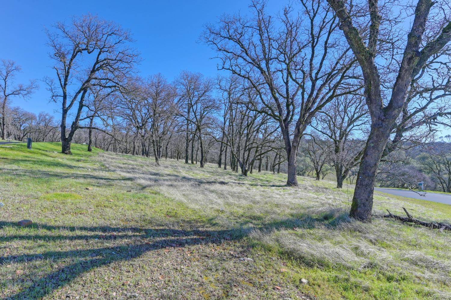 El Dorado Hills, CA 95762,6725 Western Sierra WAY