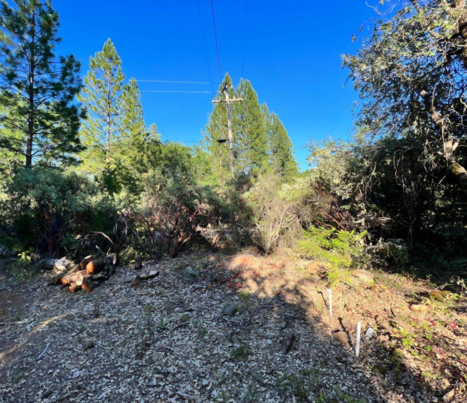 Brownsville, CA 95919,8571 DAKEN CIR