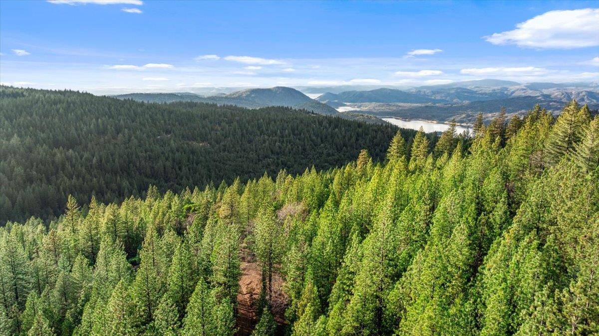 Oroville, CA 95966,0 Provenza DR