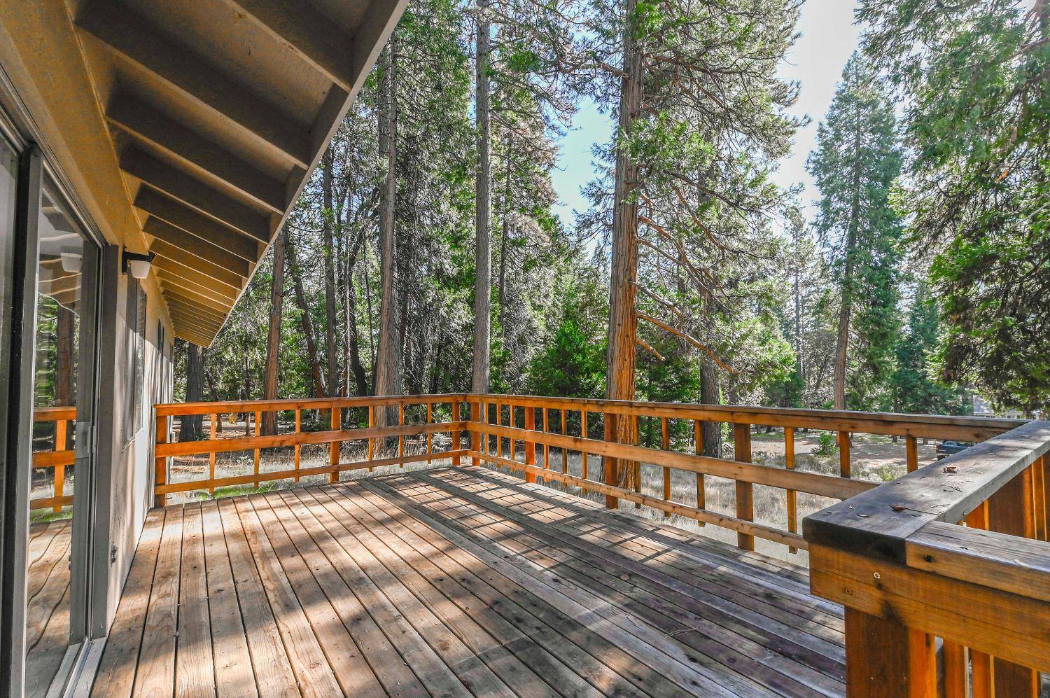 Pioneer, CA 95666,26940 Jacqueline DR