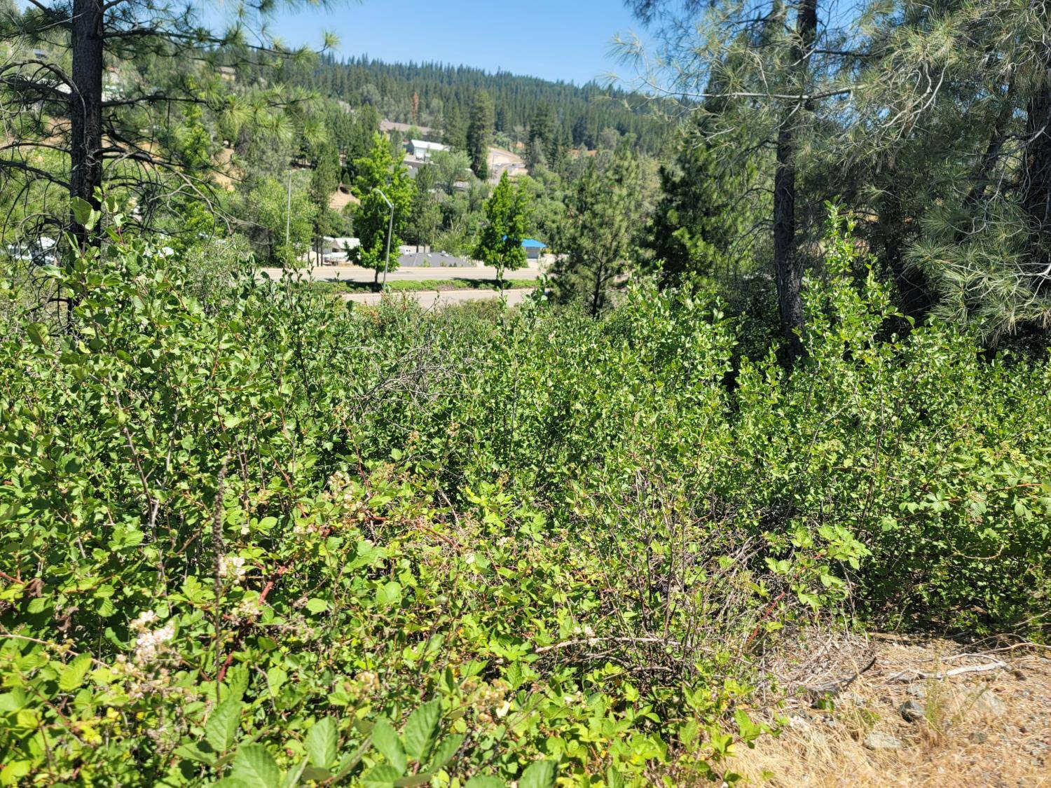 Grass Valley, CA 95945,0 Whispering Pines