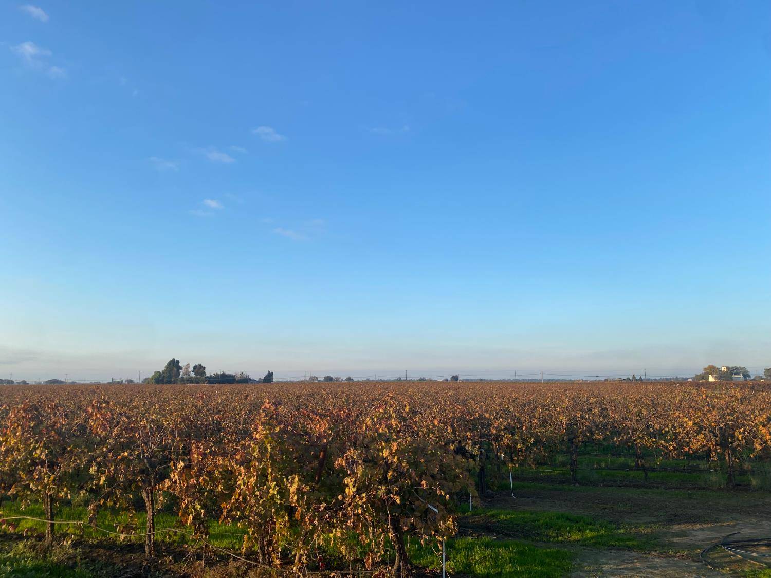 Lodi, CA 95242,2060 W Woodbridge RD