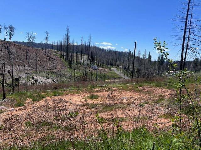 Grizzly Flats, CA 95636,4963 Deertrack CT