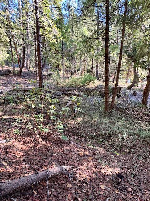 Pioneer, CA 95666,17630 E Antelope Drive E DR