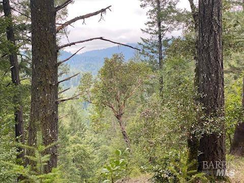 Guerneville, CA 95446,19800 Old Cazadero RD