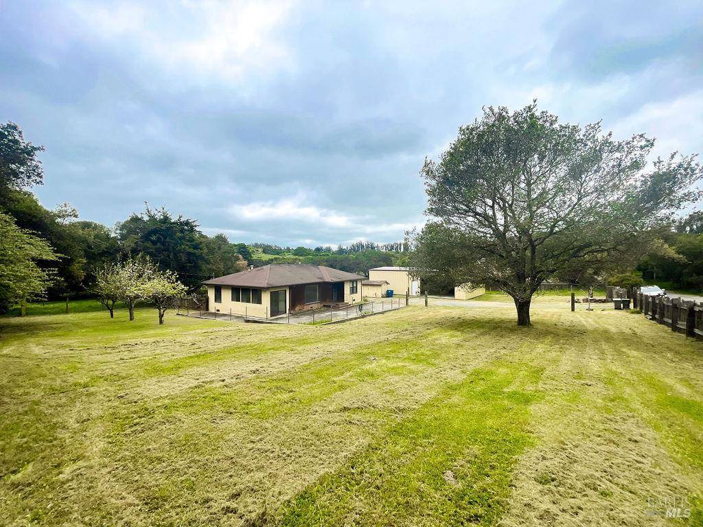 Petaluma, CA 94952,239 Live Oak DR