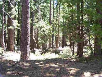 La Porte, CA 95981,2711 La Porte