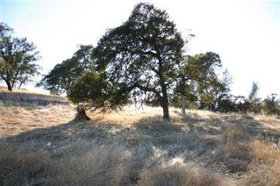 Browns Valley, CA 95918,57 Deer Hollow TRL