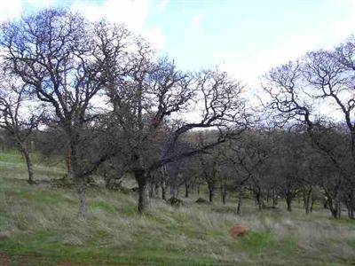 Marysville, CA 95901,0 Spring Valley