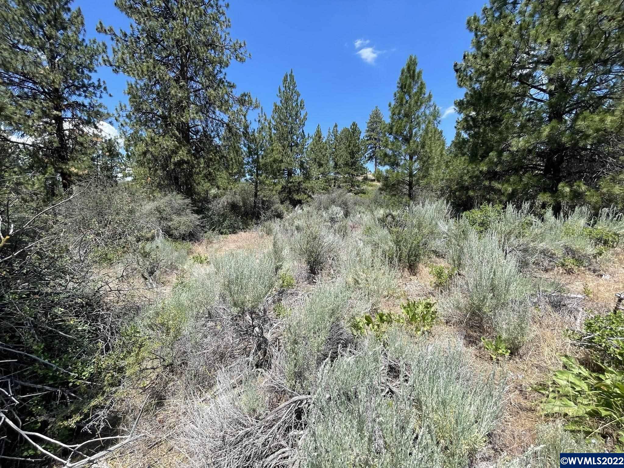 Chiloquin, OR 97624,Lot 21 Legget Dr