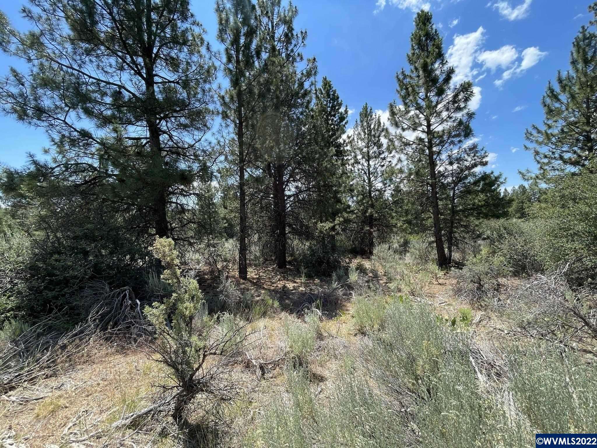 Chiloquin, OR 97624,Lot 22 Legget Dr