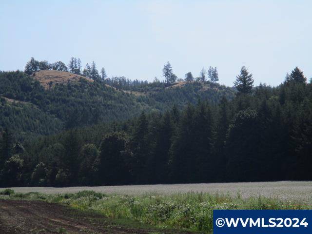 Scio, OR 97374,000 Thomas Creek Dr