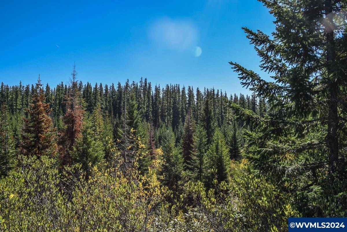 Sweet Home, OR 97386,Highway 126 (TL301)
