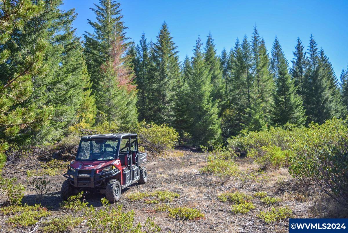 Sweet Home, OR 97386,Highway 126 (TL301)