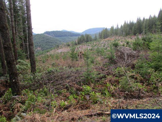 Sweet Home, OR 97386,000 Quartzville Rd