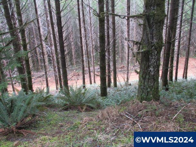 Sweet Home, OR 97386,000 Quartzville Rd