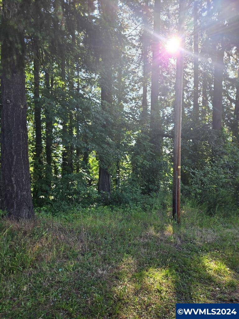 Sweet Home, OR 97386,TL2500 Grape St