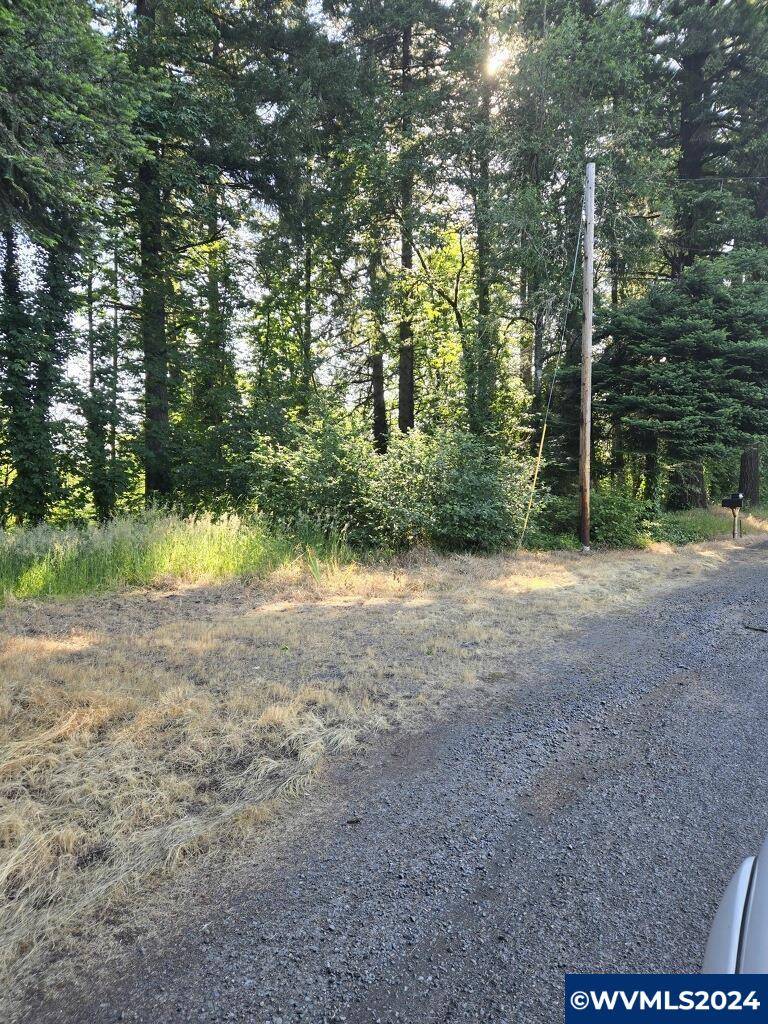 Sweet Home, OR 97386,TL2500 Grape St