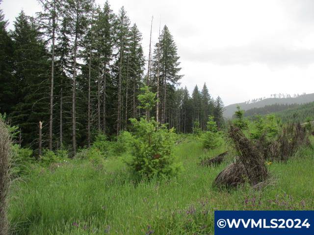 Yamhill, OR 97148,0 Fairdale Rd