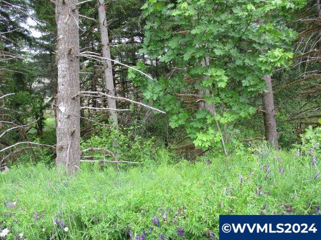 Yamhill, OR 97148,0 Fairdale Rd