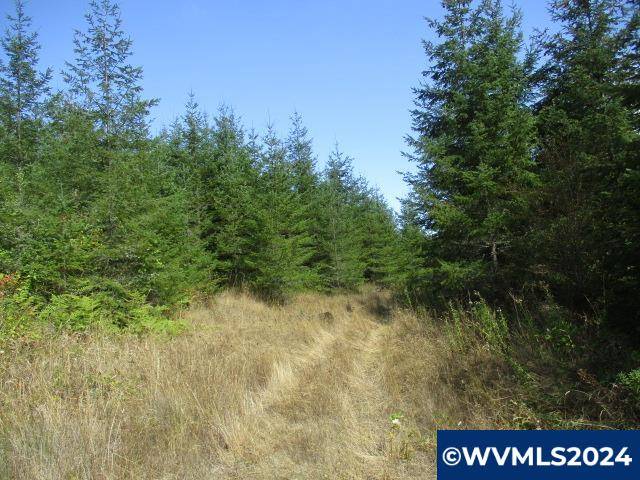 Lebanon, OR 97355,0000 Bellinger Scale (4) Rd